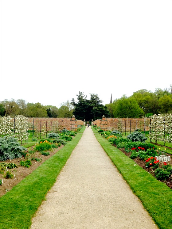 modflowers: Clumber Park walled gardens